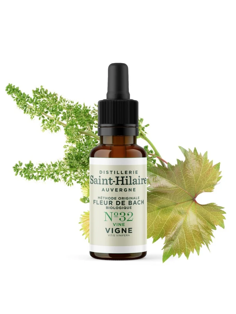 VIGNE N°32 BIO – Image 3