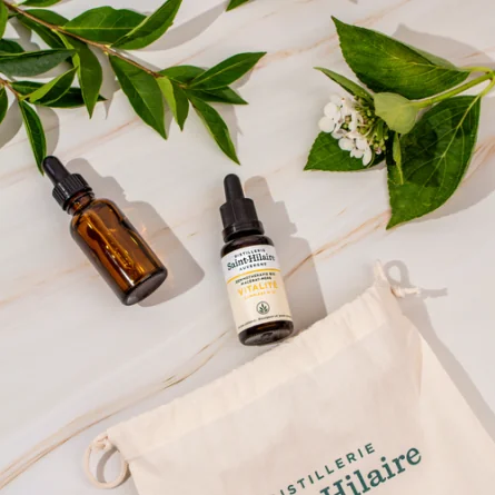 VITALITÉ – Image 2