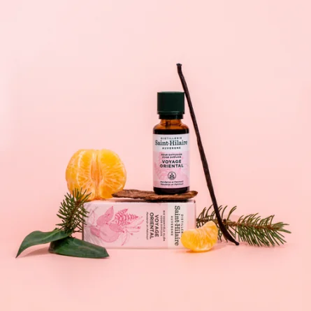 VOYAGE ORIENTAL – Image 3