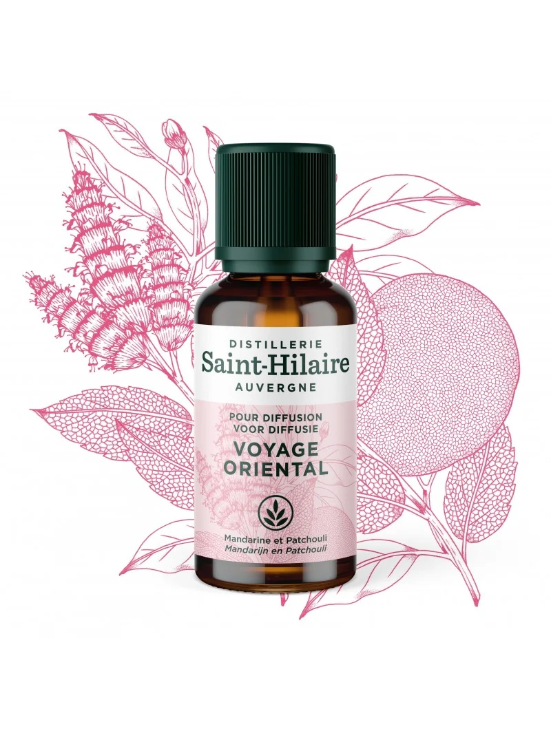 VOYAGE ORIENTAL – Image 5